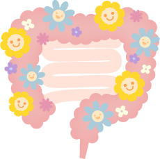 腸内フローラのイメージ