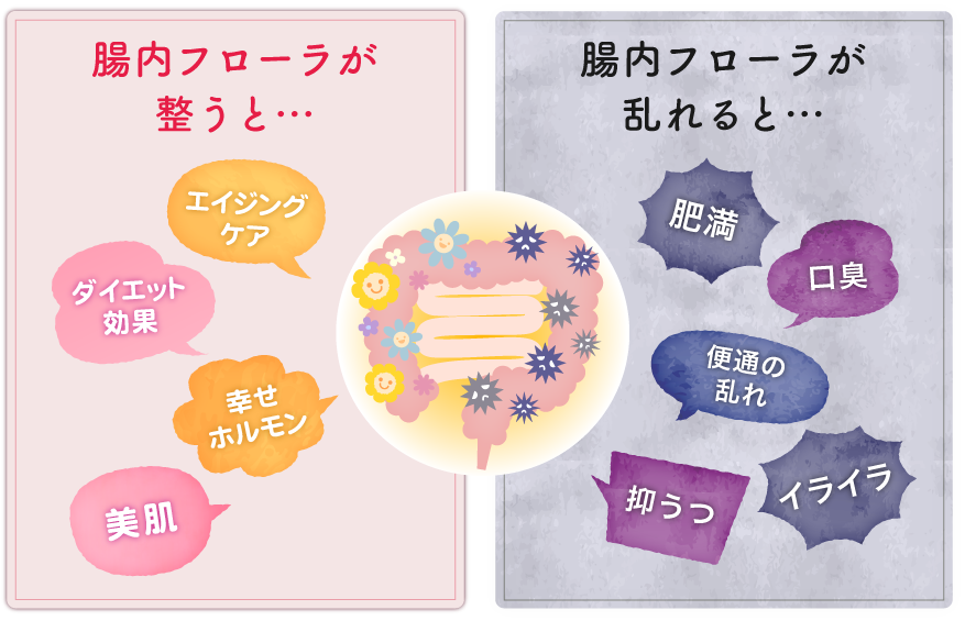 整った腸内フローラと乱れた腸内フローラのイメージ