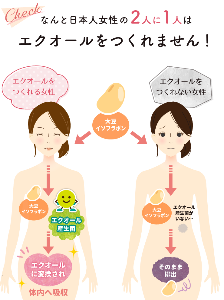 なんと日本人女性の2人に1人はエクオールをつくれません！