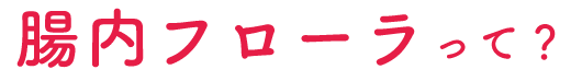腸内フローラって？